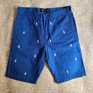 Polo Shorts - Men's Size 30 - Blue